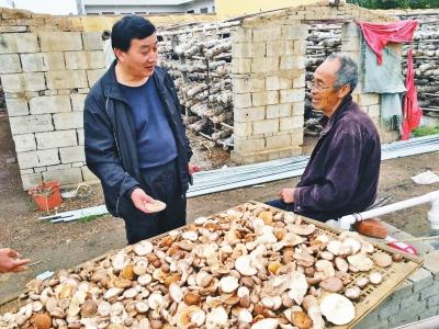 泌陽(yáng)駐村書(shū)記呂建功