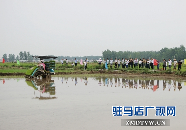 正陽(yáng)縣推廣水稻機(jī)械化插秧