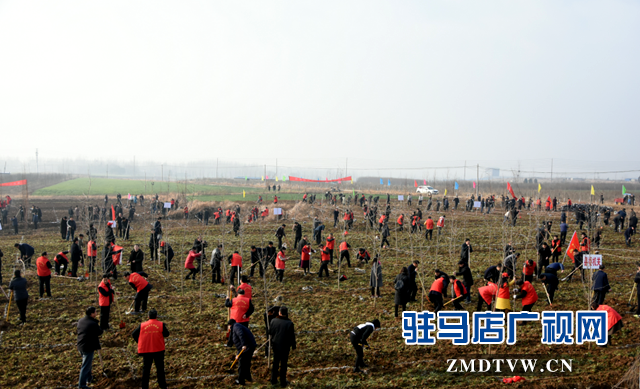 泌陽(yáng)縣2019年春季義務(wù)植樹(shù)活動(dòng)啟動(dòng)