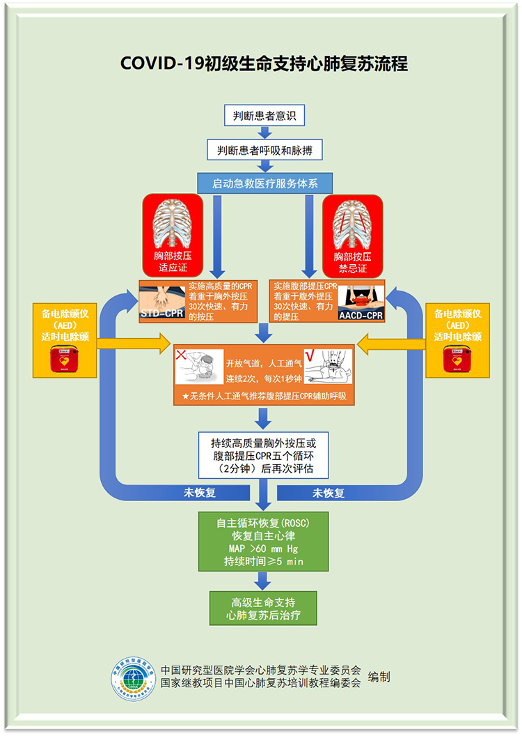 “疫”中如遇心搏驟停 可參考初級心肺復蘇流程救治