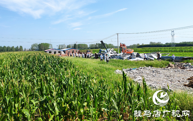 駐馬店市驛城區(qū)對農(nóng)村亂占耕地建房8類問題“零容忍”