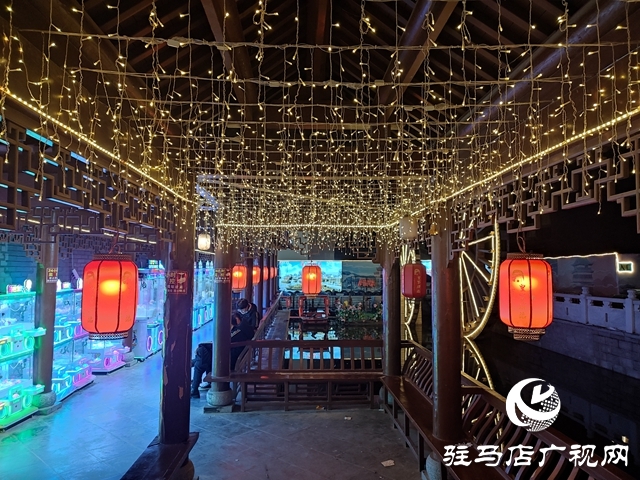 駐馬店：花燈璀璨迎新春