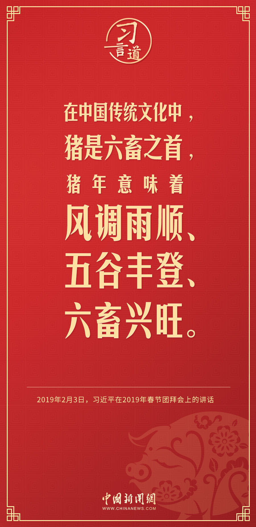 【過(guò)年】習(xí)言道｜兔代表著機(jī)智敏捷、純潔善良、平靜美好