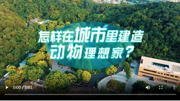 中國(guó)式現(xiàn)代化·青年的回答丨怎樣在城市里建造動(dòng)物理想家？