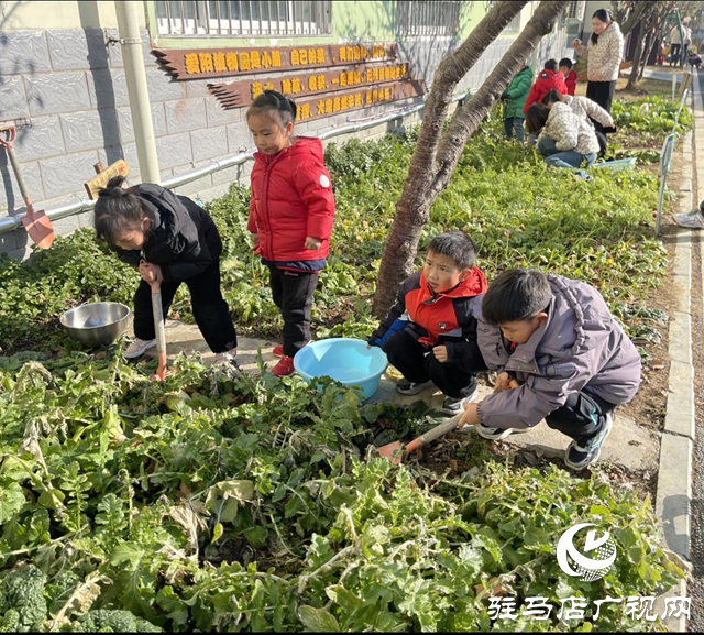 食育有方！駐馬店這家幼兒園被評(píng)為特色幼兒園