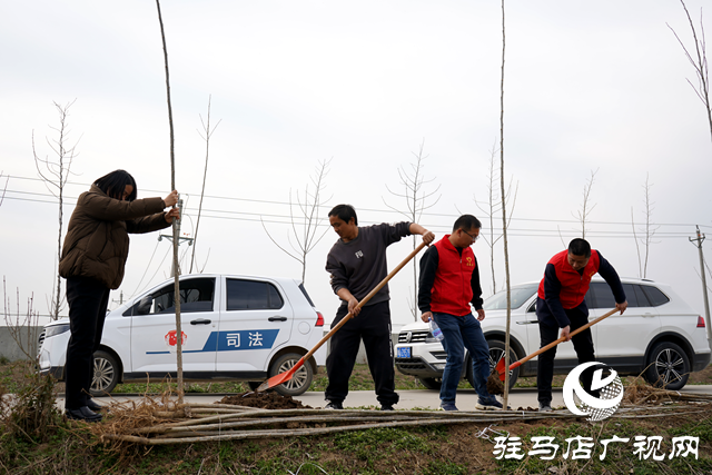 新蔡縣河塢鄉(xiāng)：植樹(shù)添新綠 鄉(xiāng)村“靚”起來(lái)