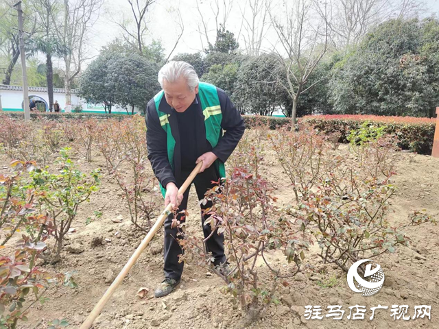 園林工人巧“梳妝”南海公園煥“新顏”