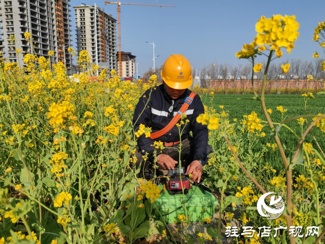 大美春光 移動護航