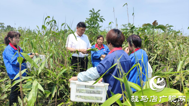 河南省勞動模范占全領(lǐng)：推動產(chǎn)業(yè)發(fā)展 帶動群眾增收