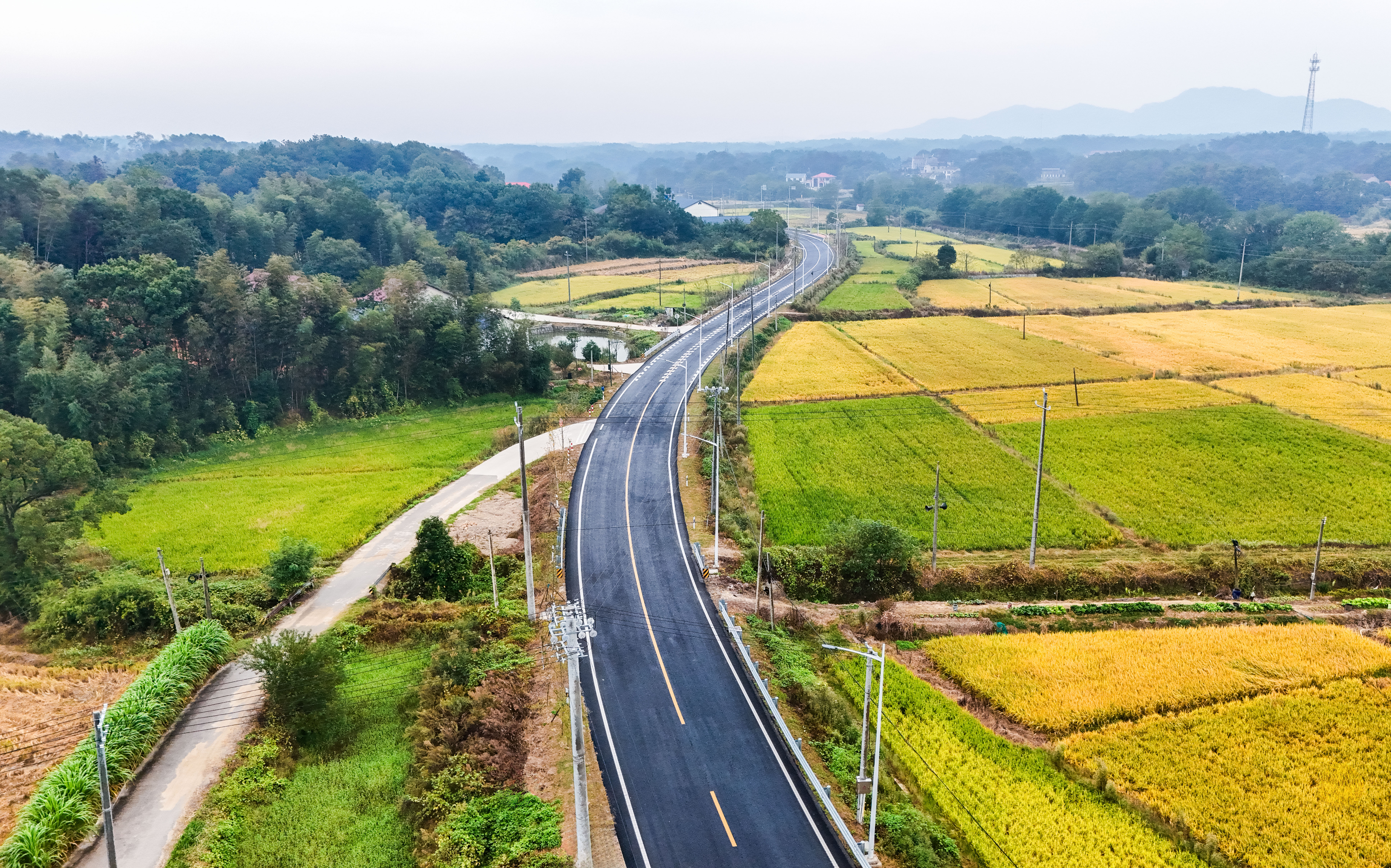 全國“十大最美農(nóng)村路”發(fā)布，有你家門口那條路嗎？