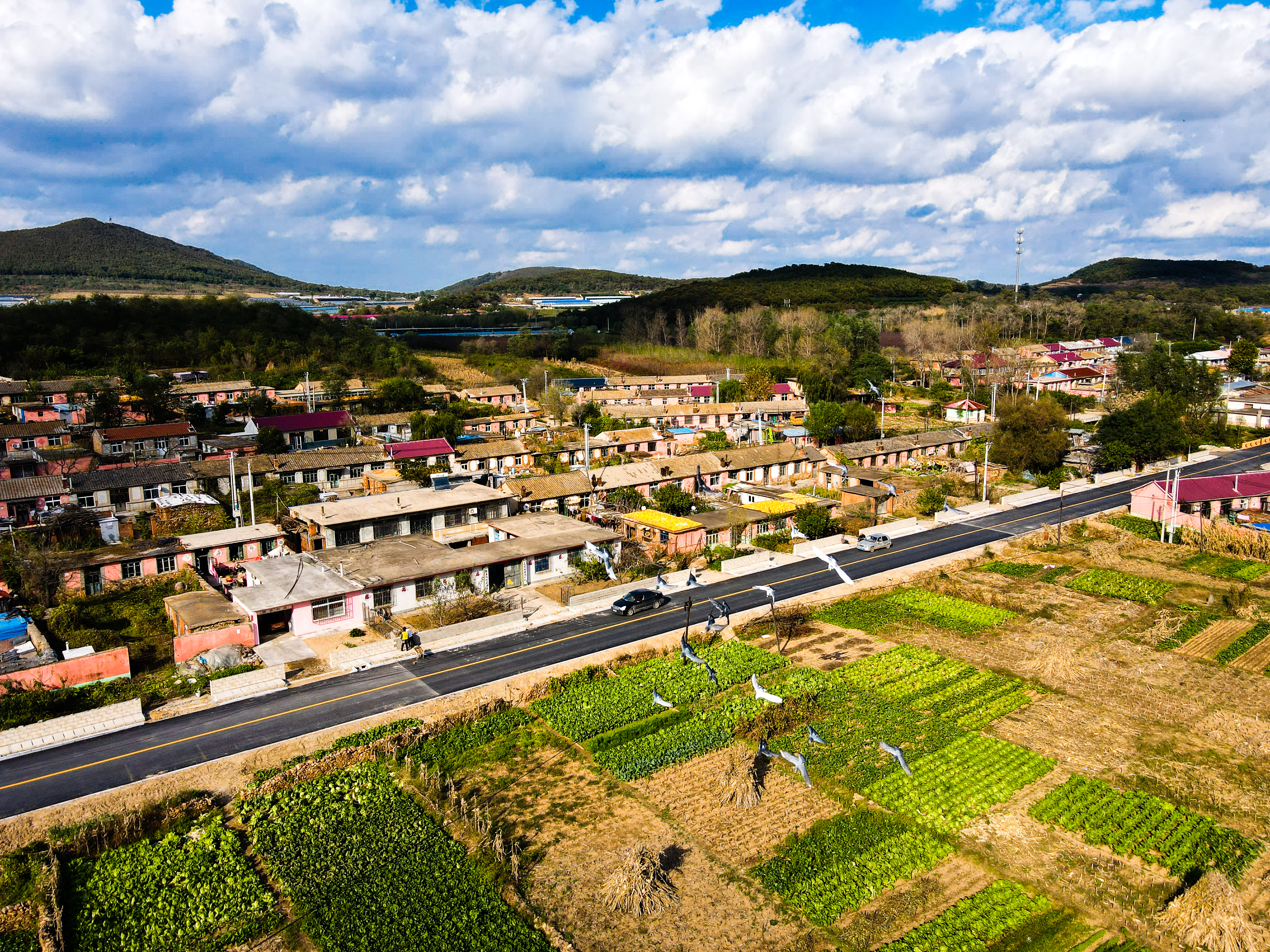 全國“十大最美農(nóng)村路”發(fā)布，有你家門口那條路嗎？