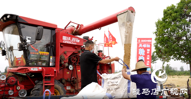 駐馬店經(jīng)濟開發(fā)區(qū)：“噸半糧”核心示范田 交出亮眼成績單