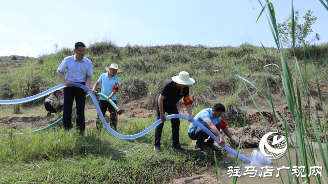 泌陽融媒：讓黨旗飄揚在抗旱一線