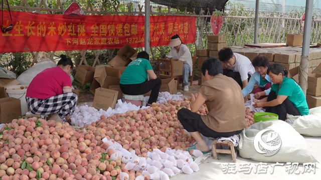 泌陽縣：90后夫妻開電商直播帶貨 助力當地農業(yè)產業(yè)發(fā)展