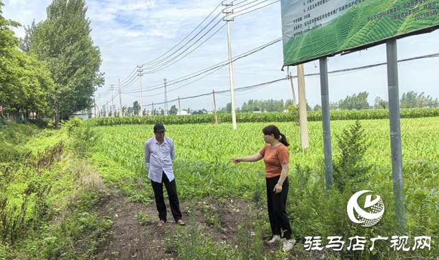 暴雨過后如何防范農(nóng)田內(nèi)澇？農(nóng)業(yè)專家支招