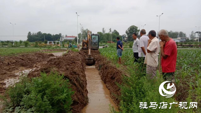 驛城區(qū)朱古洞鄉(xiāng)：全力做好農(nóng)田排澇和管理 力保秋糧豐收