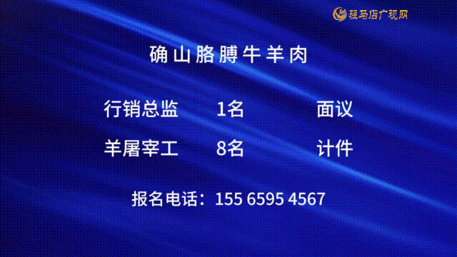 39《 你好！創(chuàng)客先鋒派》確山胳膊牛羊肉探崗行動