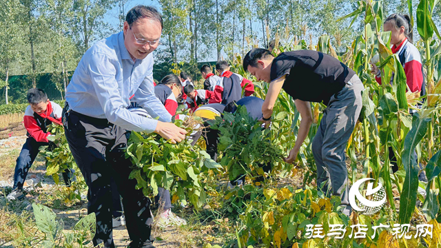 體驗(yàn)豐收快樂(lè) 收獲成長(zhǎng)果實(shí)