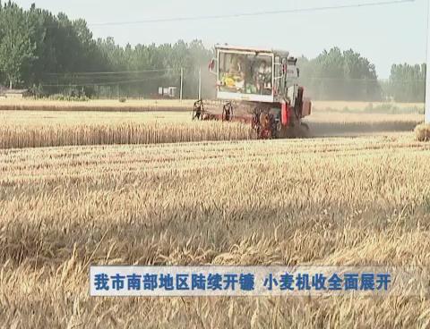 我市南部地區(qū)陸續(xù)開鐮  小麥機(jī)收全面展開