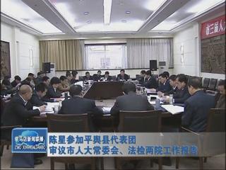 陳星參加平輿代表團(tuán)審議市人大常委會(huì)、法檢兩院工作報(bào)告（視頻）